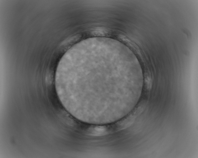 X0000113250665200910221122