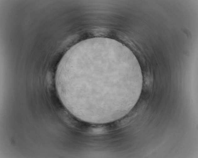 X0000113250667200910221122