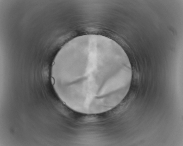 X0000113250668200910221122