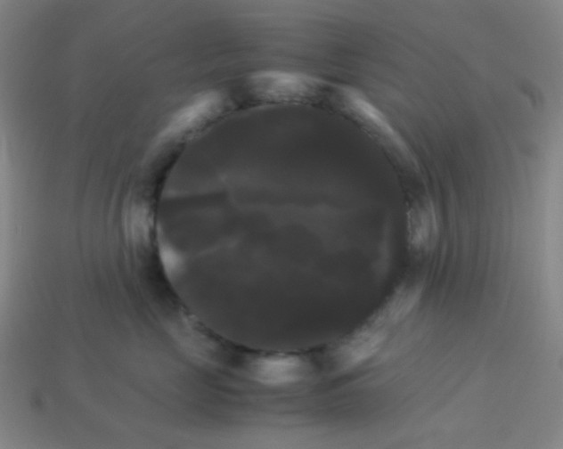 X0000113250669200910221122