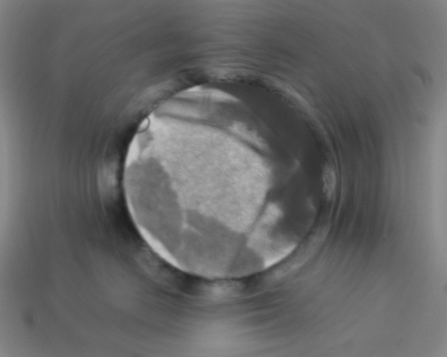 X0000113250670200910221122