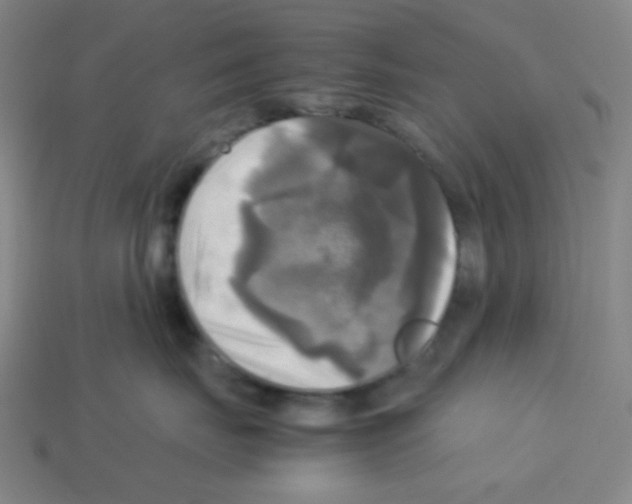 X0000113250671200910221122