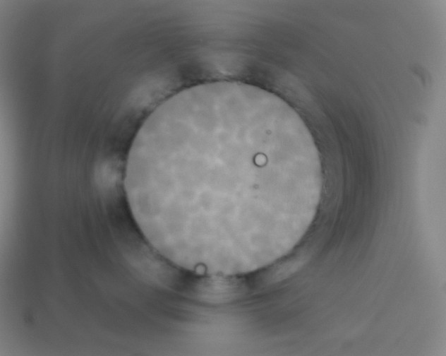 X0000113250672200910221122