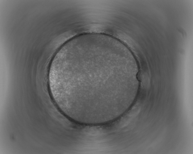 X0000113250673200910221122