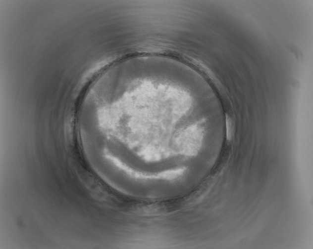 X0000113250675200910221122