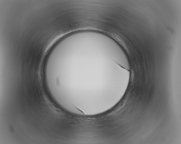 X0000113250676200910221121