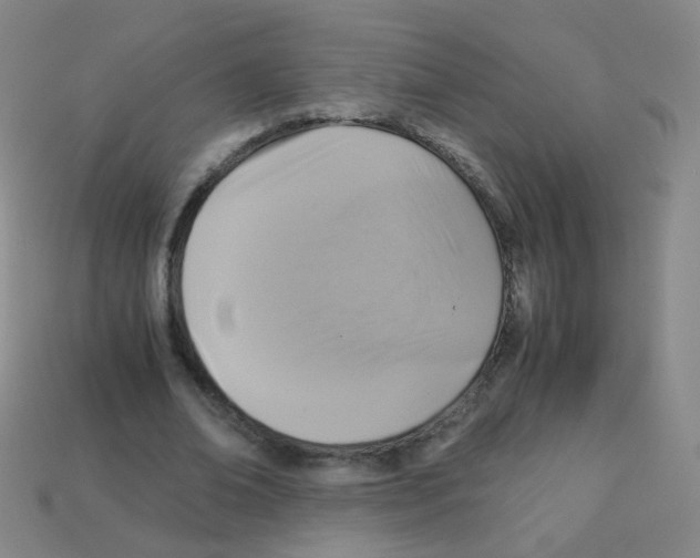 X0000113250678200910221121