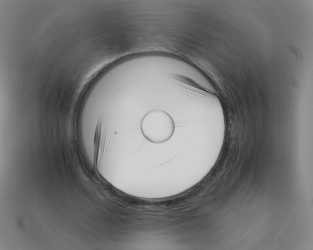 X0000113250680200910221121