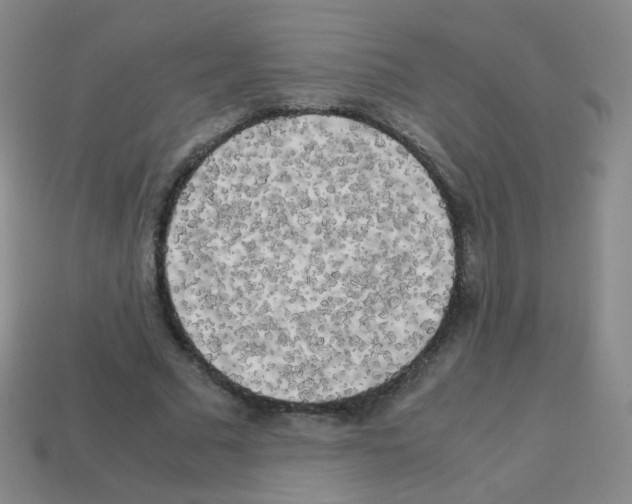 X0000113250681200910221121