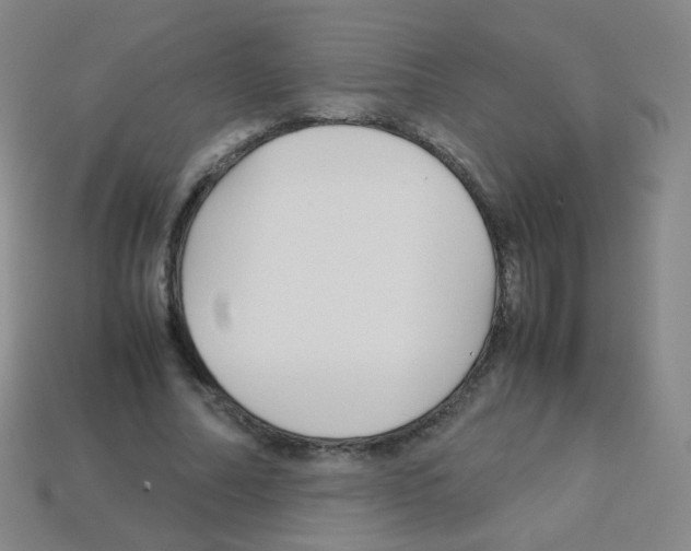 X0000113250682200910221121