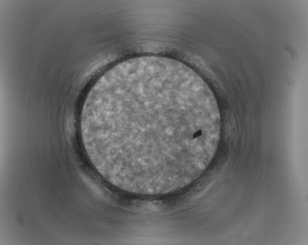 X0000113250683200910221121