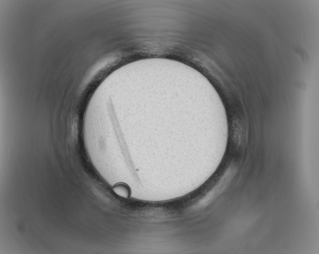 X0000113250685200910221121