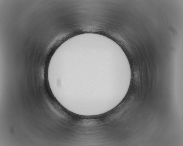 X0000113250686200910221121