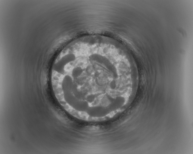 X0000113250687200910221121