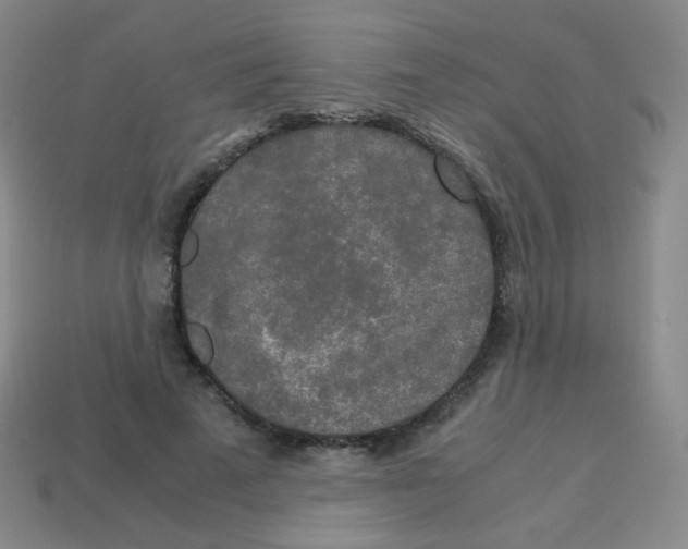 X0000113250689200910221121