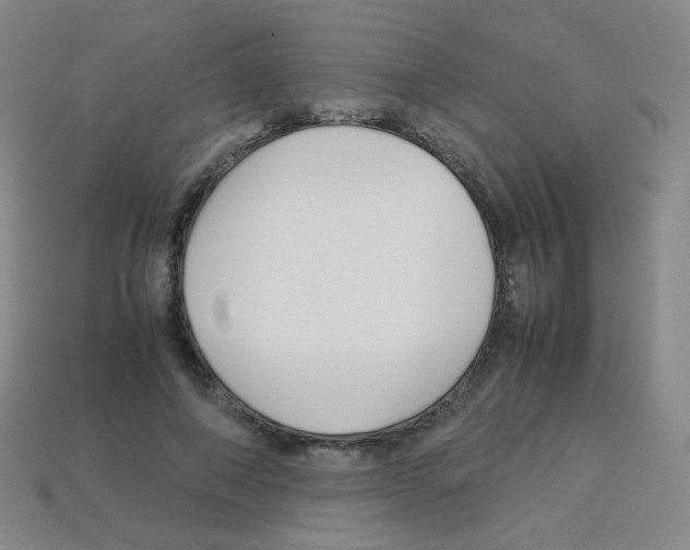 X0000113250690200910221121