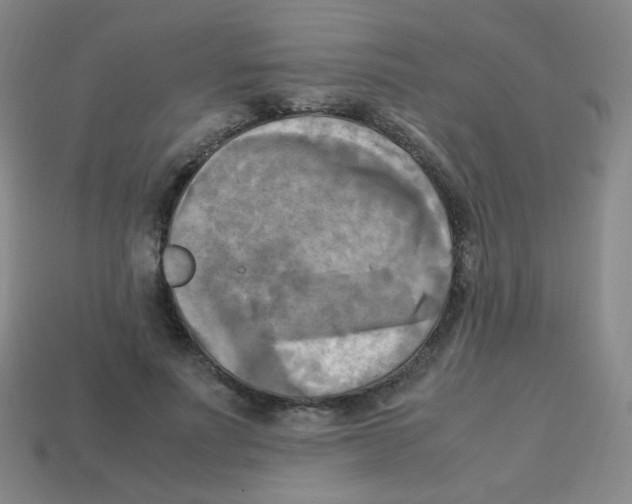 X0000113250691200910221121