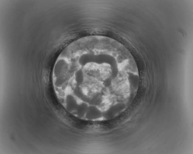 X0000113250695200910221121