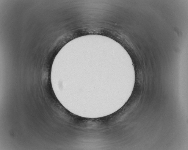 X0000113250697200910221121