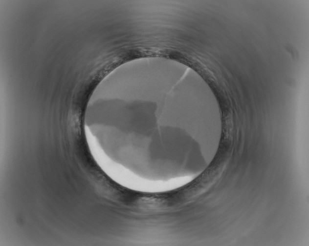 X0000113250699200910221121