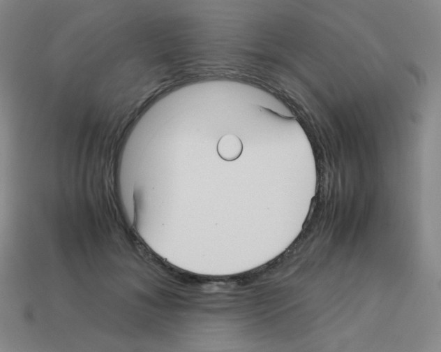 X0000113250700200910221121