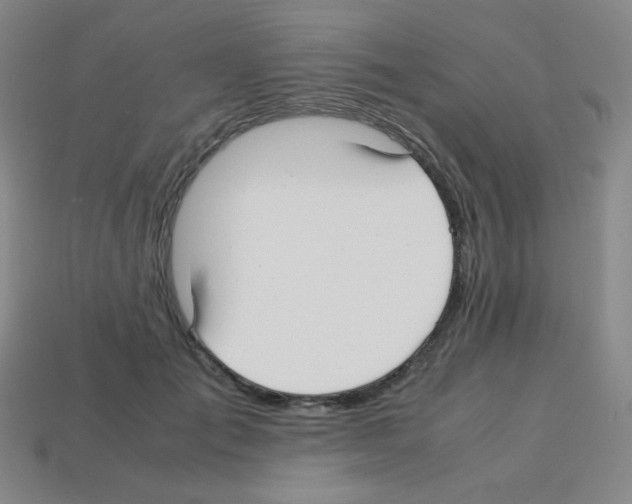 X0000113250701200910221121