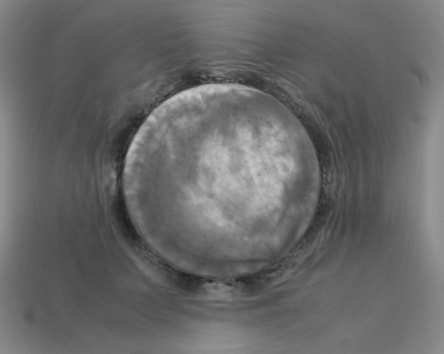 X0000113250703200910221121