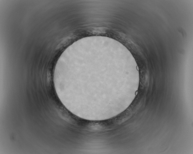 X0000113250704200910221121