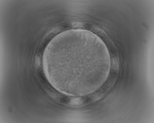 X0000113250705200910221121