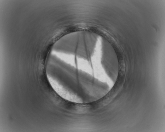 X0000113250707200910221121