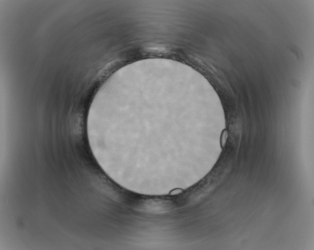 X0000113250708200910221121