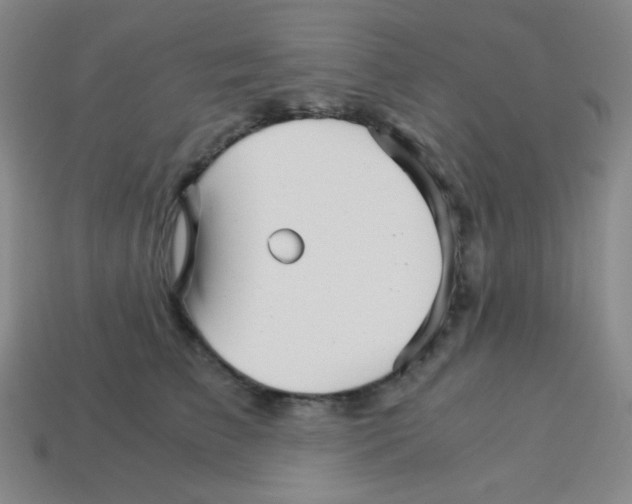 X0000113250709200910221121