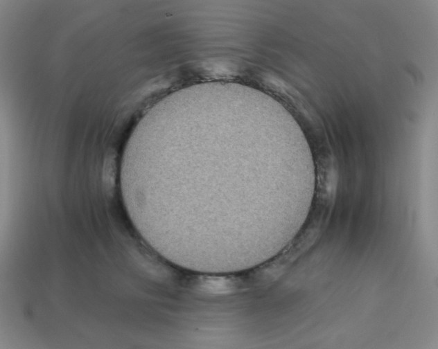 X0000113250710200910221121