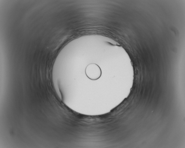 X0000113250712200910221121