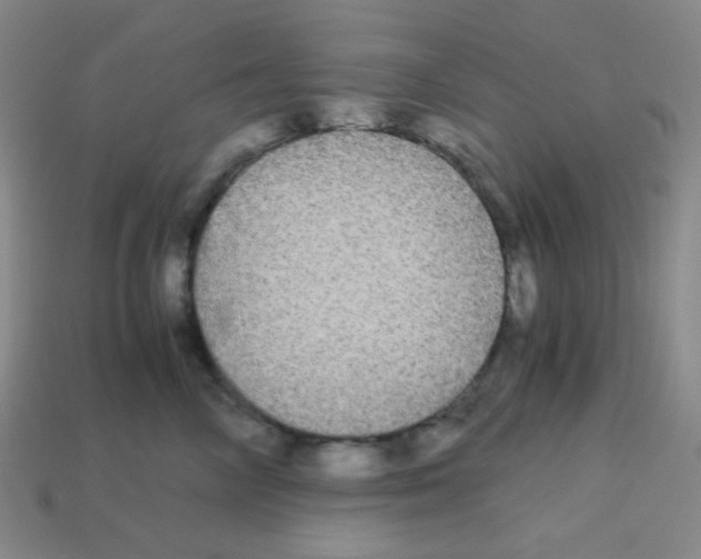 X0000113250714200910221121