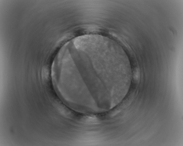 X0000113250715200910221121