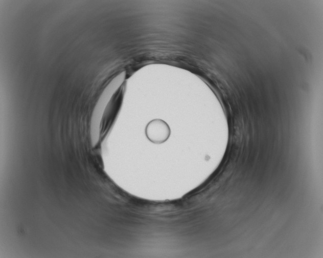 X0000113250716200910221121