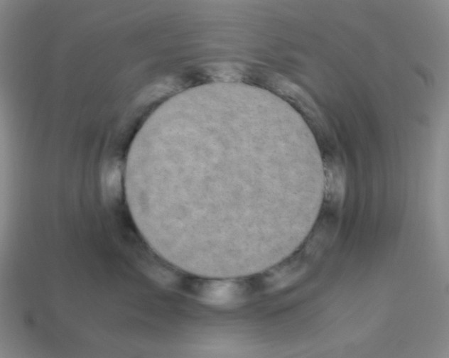 X0000113250717200910221121