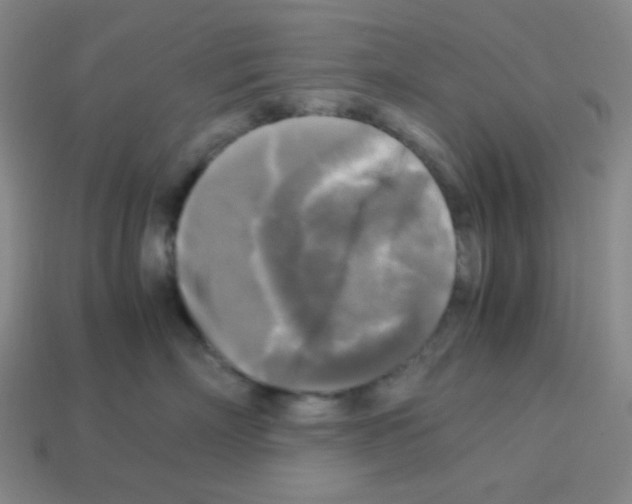 X0000113250718200910221121