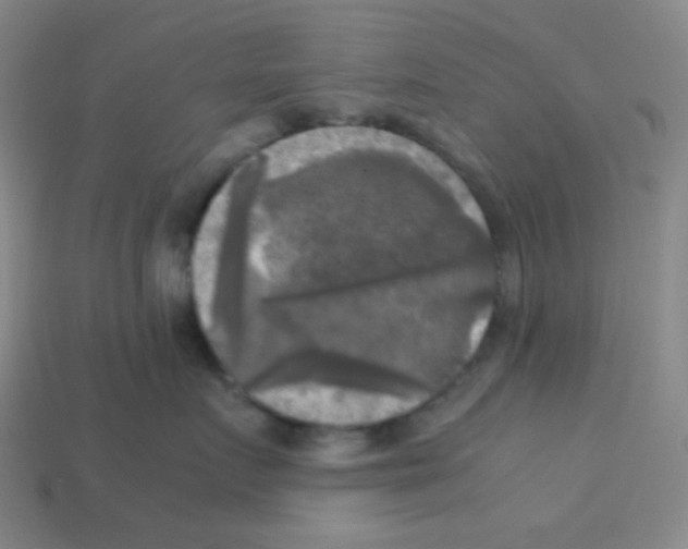 X0000113250719200910221121