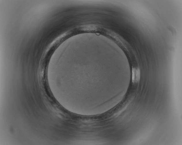 X0000113250723200910221120