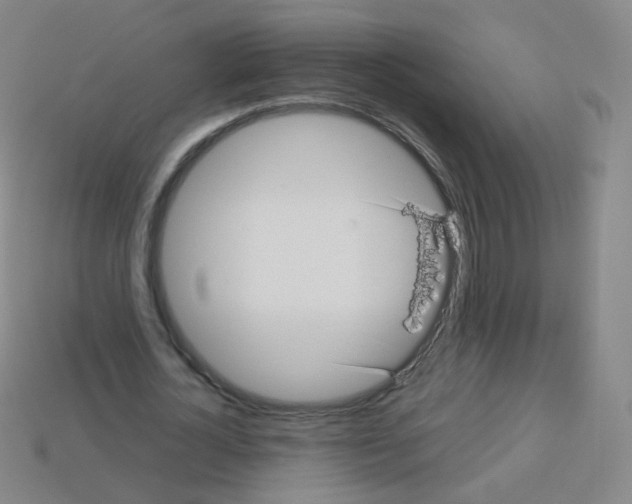 X0000113250724200910221120