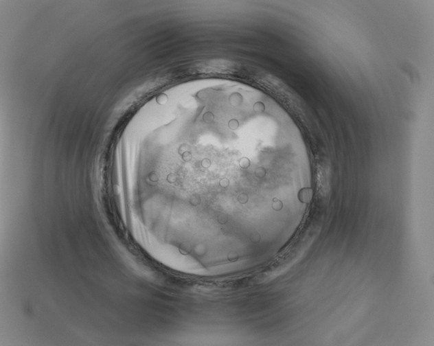 X0000113250725200910221120