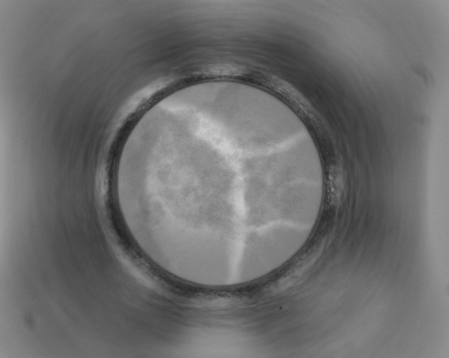 X0000113250726200910221120