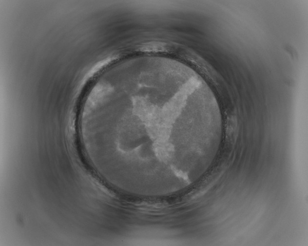 X0000113250727200910221120