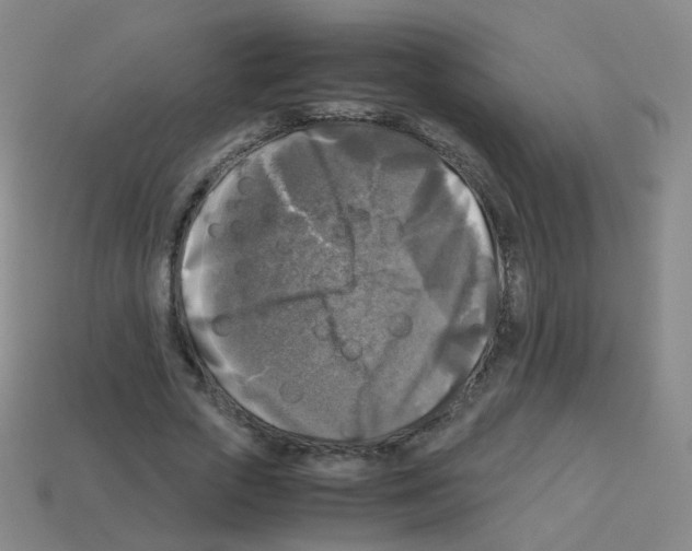 X0000113250729200910221120