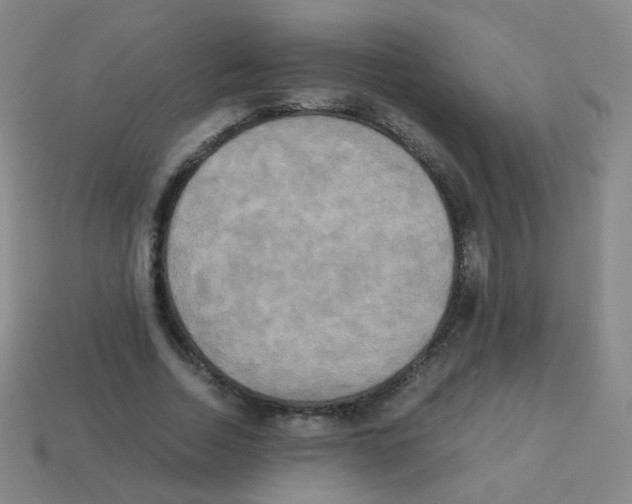 X0000113250730200910221120