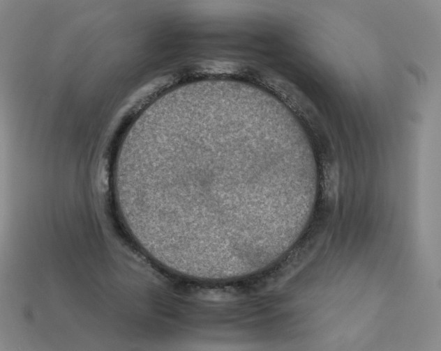 X0000113250731200910221120