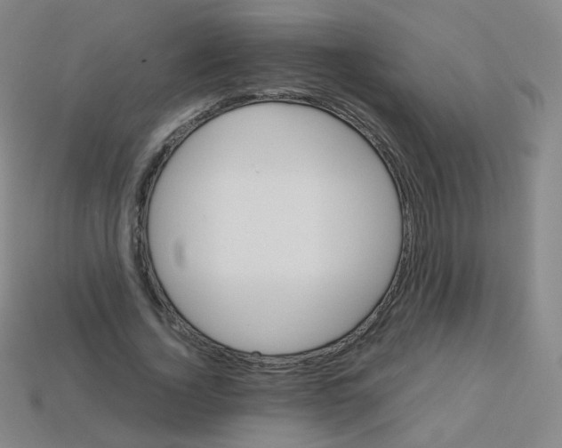 X0000113250732200910221120