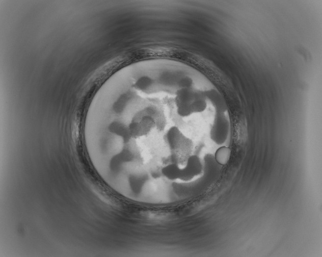 X0000113250733200910221120